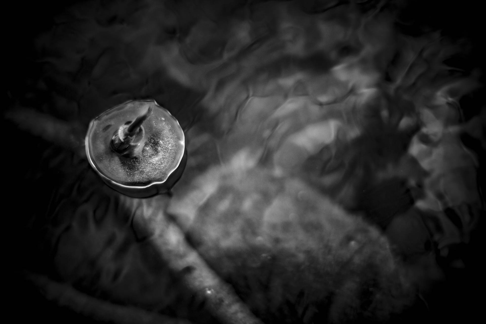 Isformation på ett vasstrå .Monochrome ice disc 3.